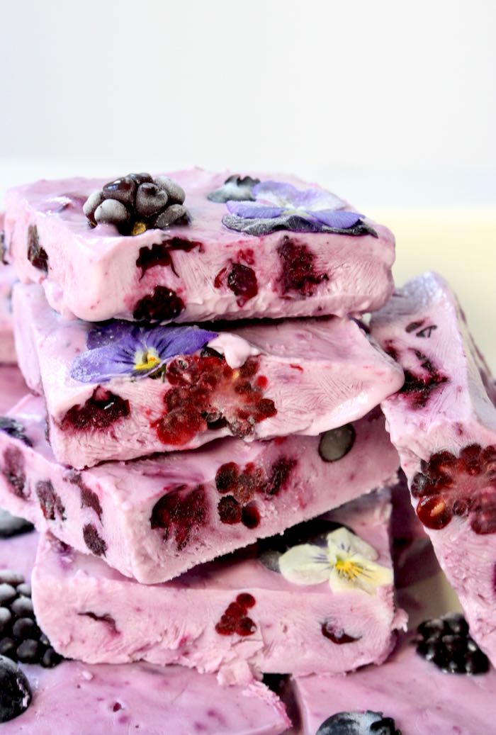 Vegan Frozen Yogurt Bars with Berries.