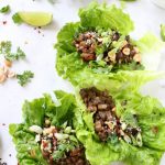Vegan Mushroom Lettuce Wraps