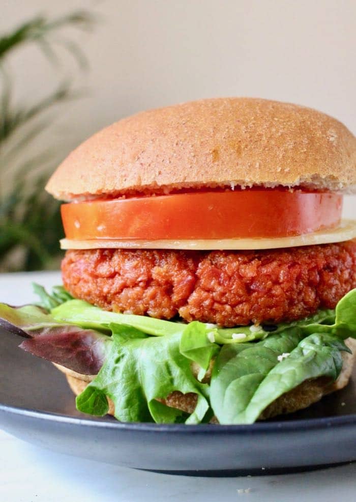 Vegan Burger Patties Recipe