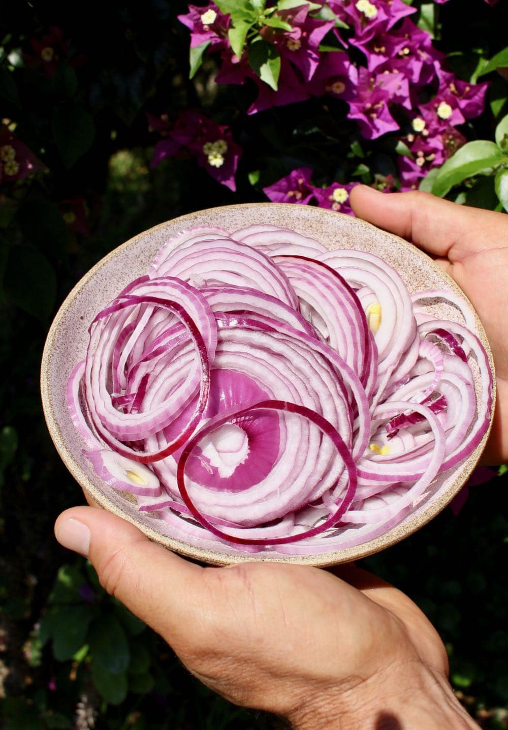 Bowl of Sliced Red Onion Rings